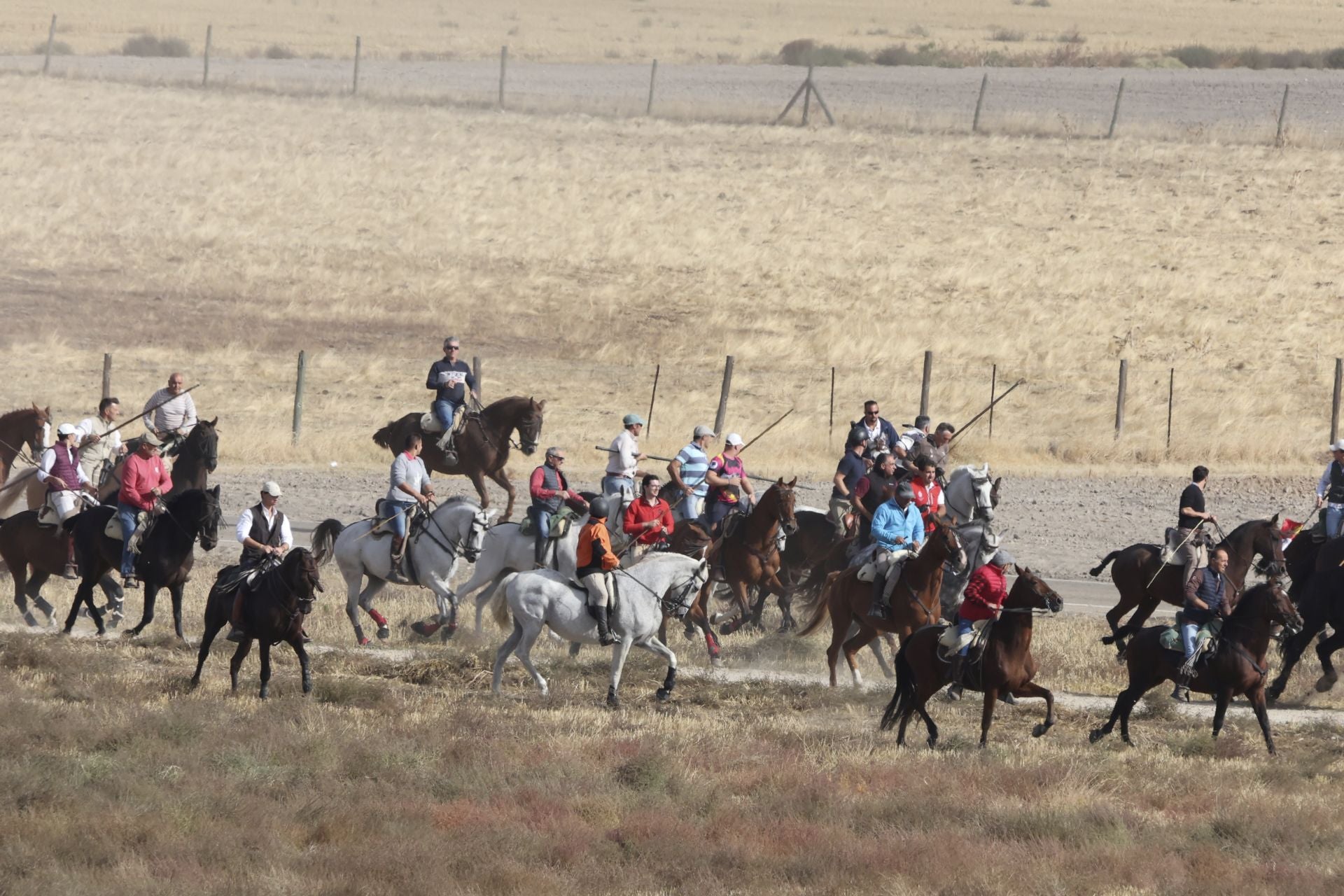 Encierro en Olmedo el sábado por la mañana