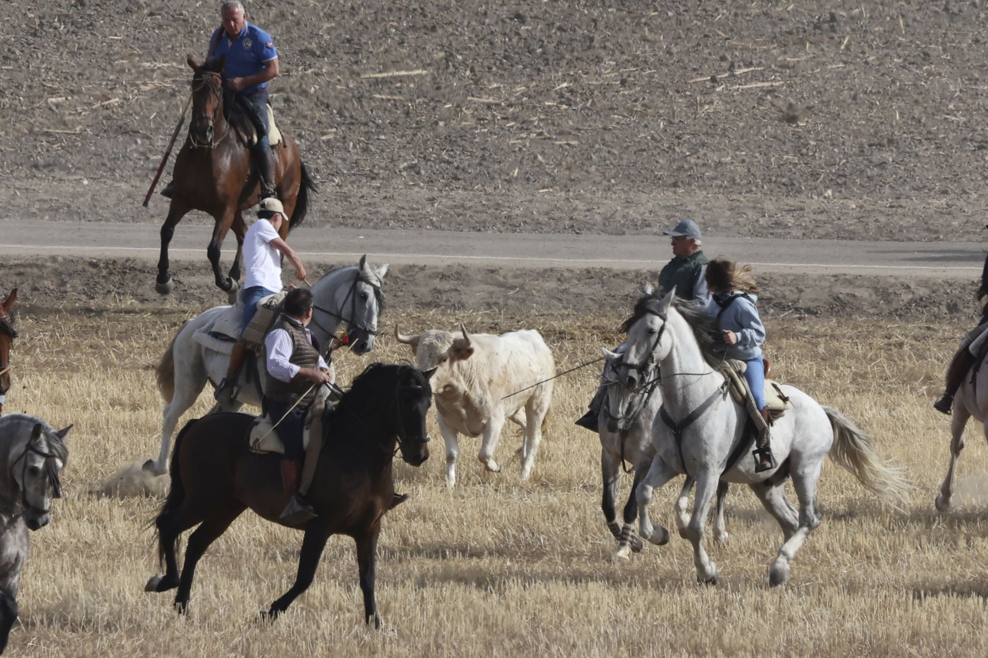 Encierro en Olmedo el sábado por la mañana