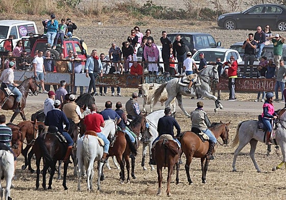 Imagen del tercer encierro en la localidad de Olmedo.