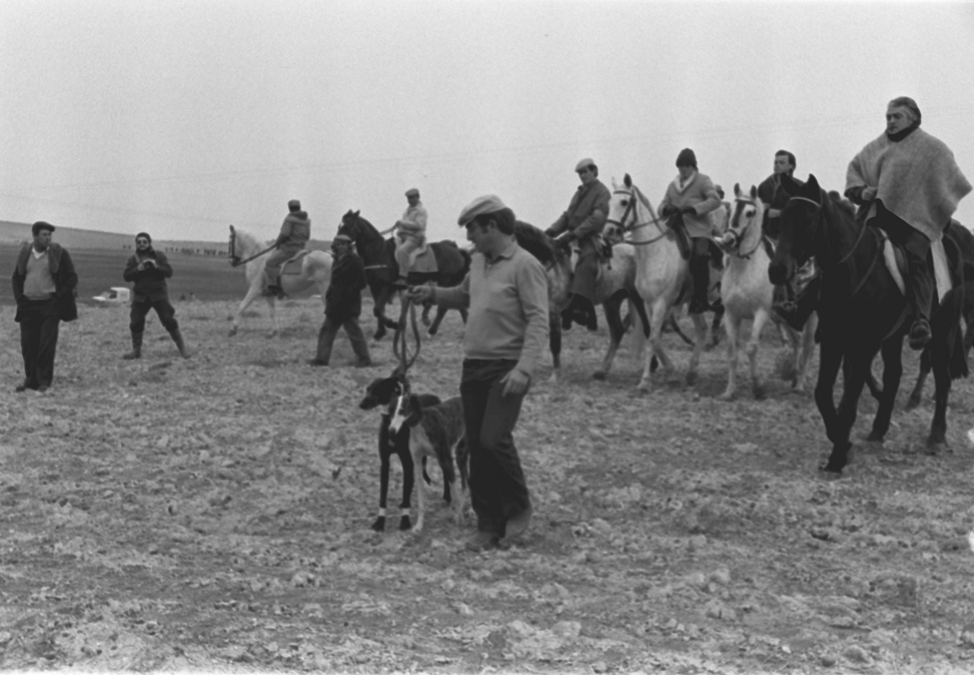 Más de 5.000 aficionados se dieron cita en el coto de Siete Iglesias, de Matapozuelos, para presenciar la final de carrera de galgos. En la fotografía se pueden ver a las dos galgas finalistas. 19 de enero de 1985.