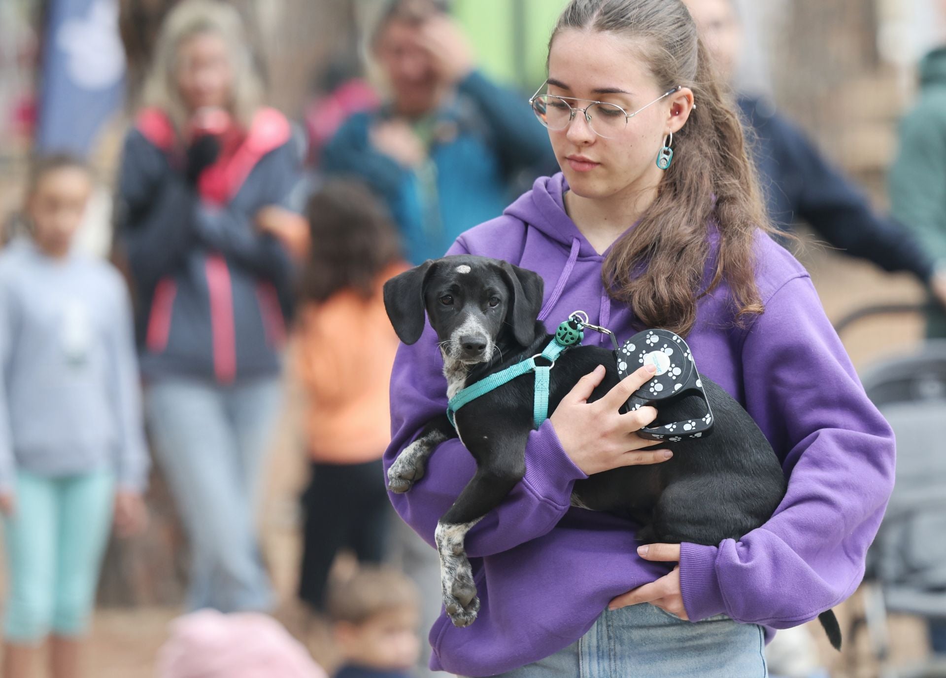 Las protectoras de animales de Valladolid organizan un desfile de perros