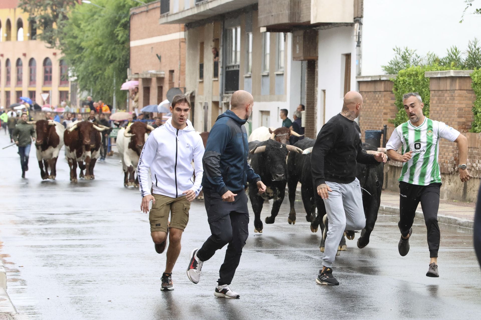 Las imágenes del encierro del domingo en las fiestas de Íscar