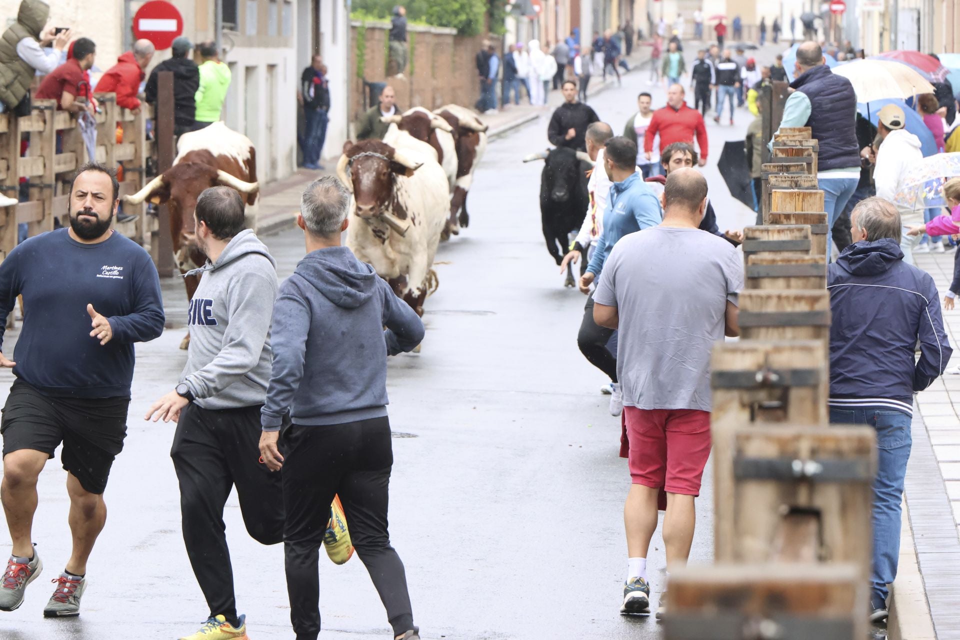 Las imágenes del encierro del domingo en las fiestas de Íscar