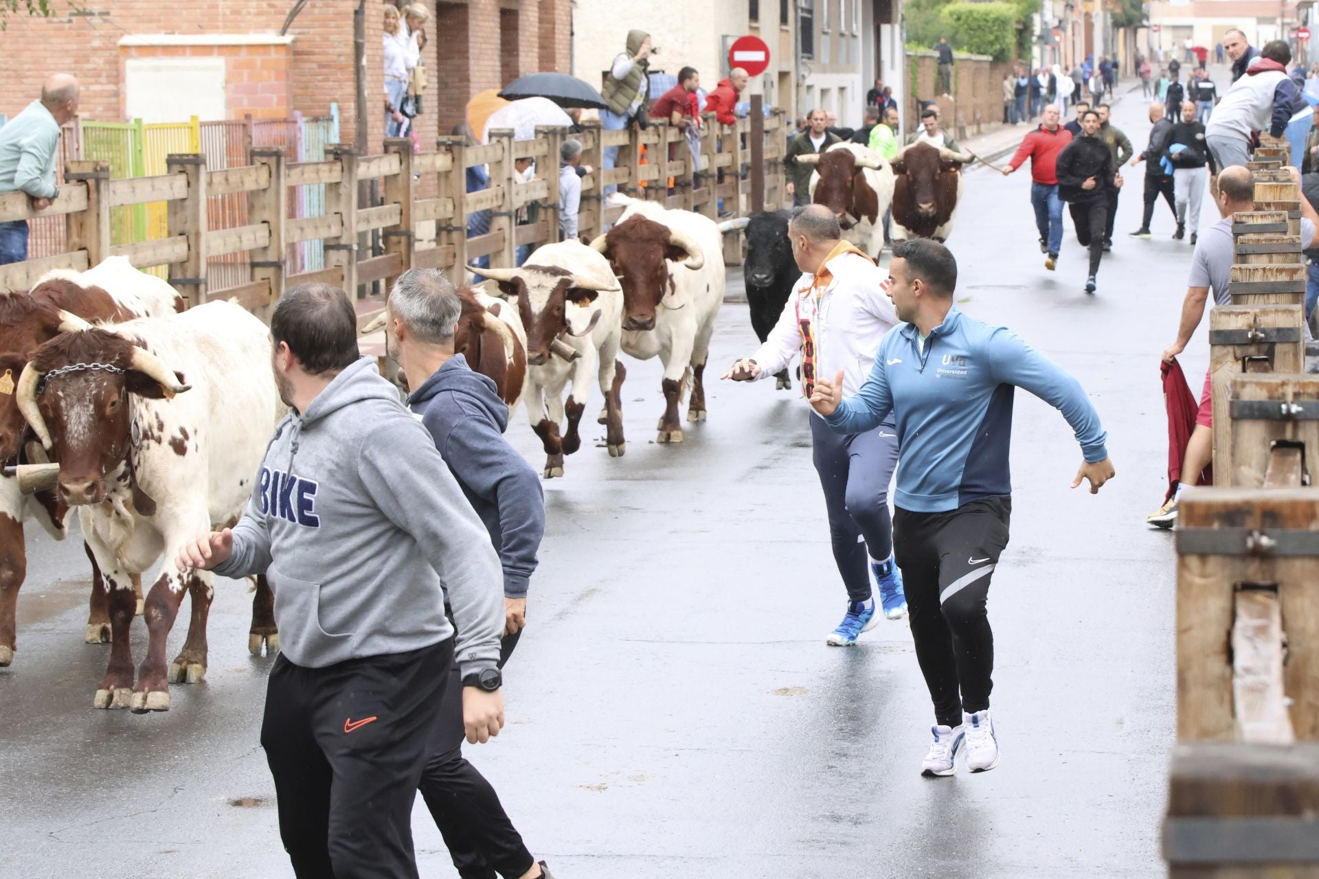 Las imágenes del encierro del domingo en las fiestas de Íscar