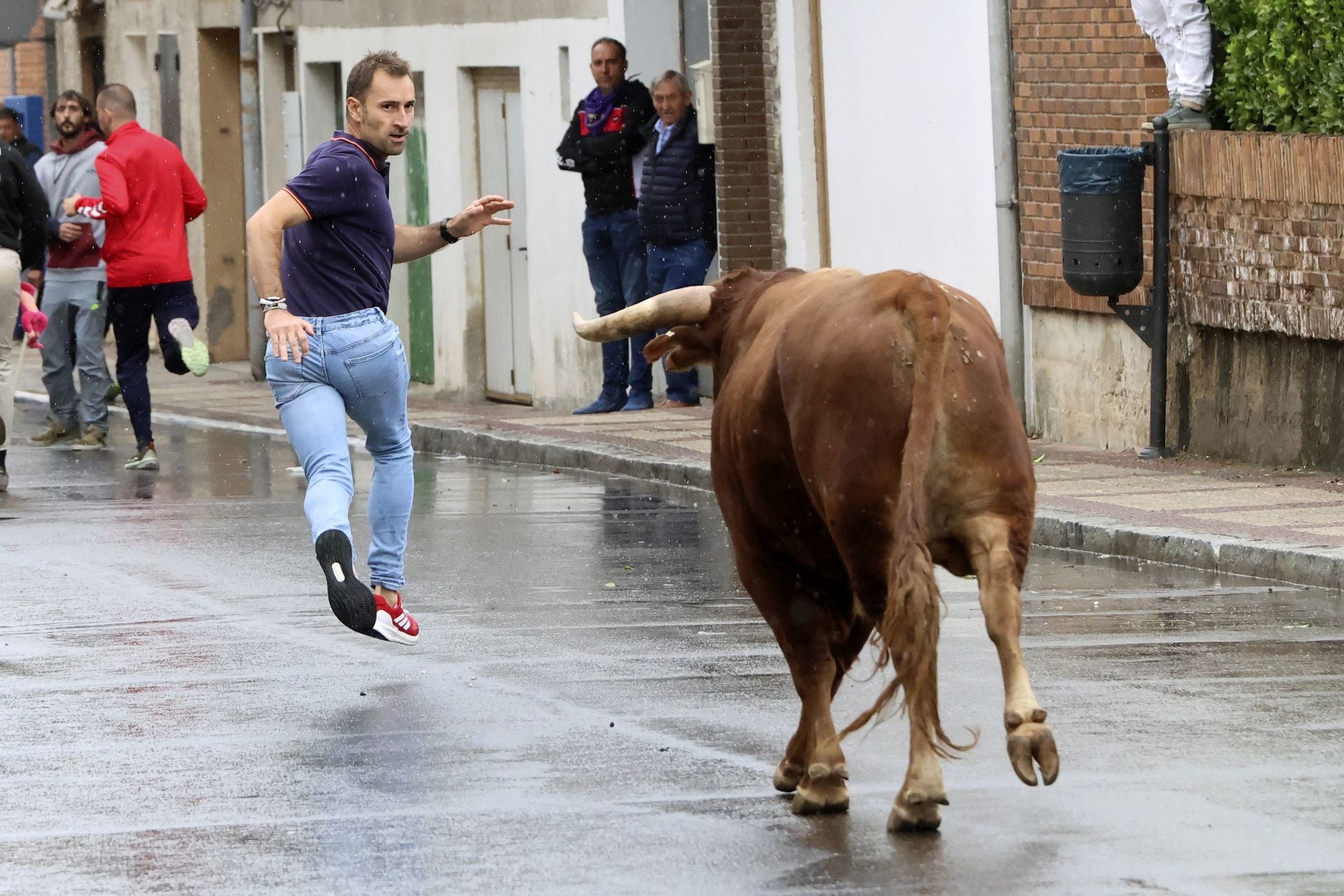 Las imágenes del encierro del domingo en las fiestas de Íscar