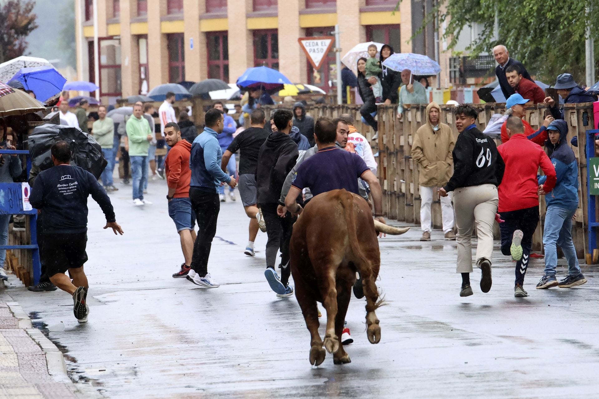Las imágenes del encierro del domingo en las fiestas de Íscar