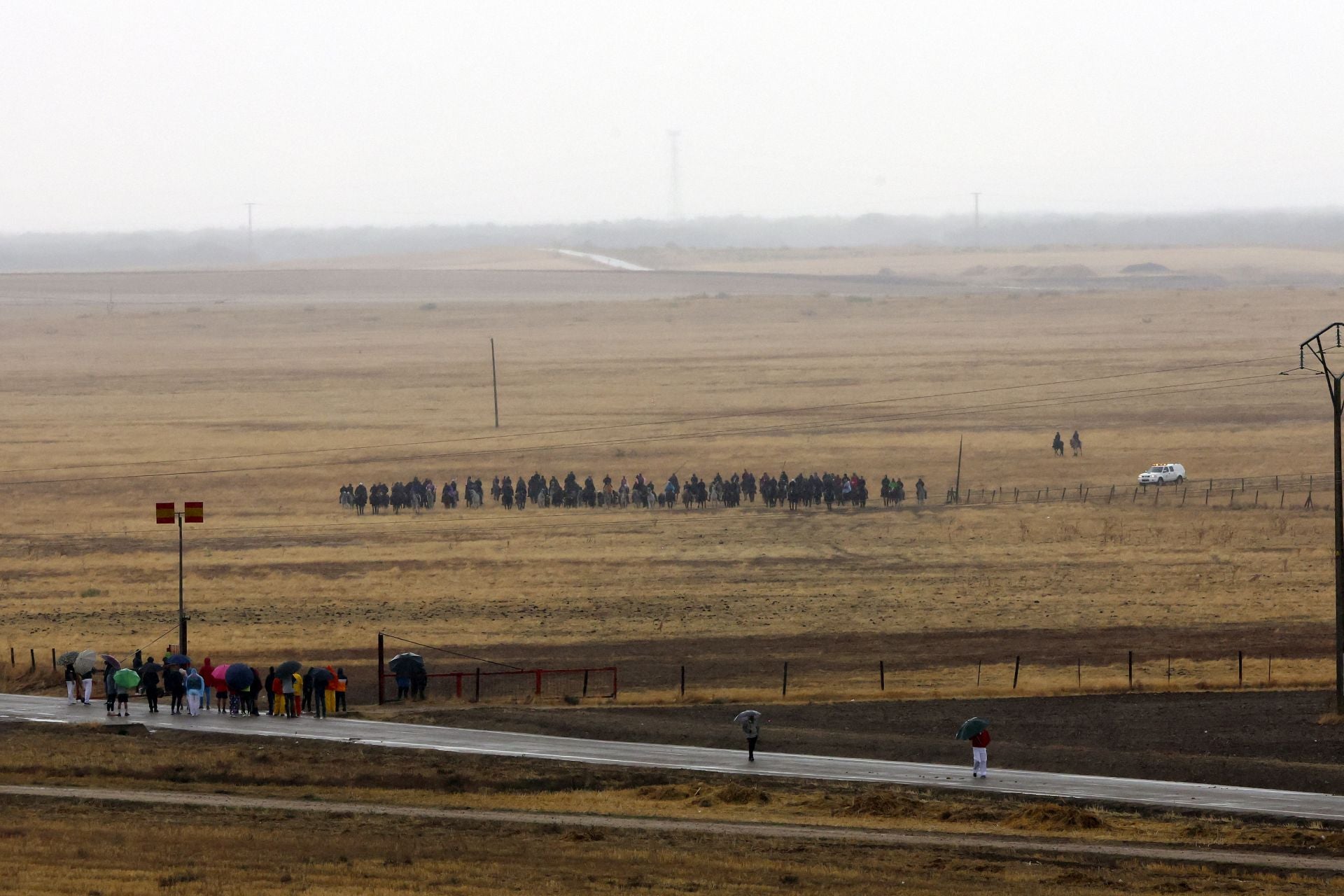 Encierro del domingo en las fiestas de Olmedo