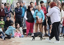 Once protectoras se han reunido este domingo para dar visibilidad a su labor en Valladolid.