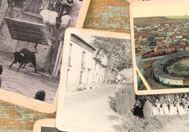 Collage de fotos antiguas de Pollos.
