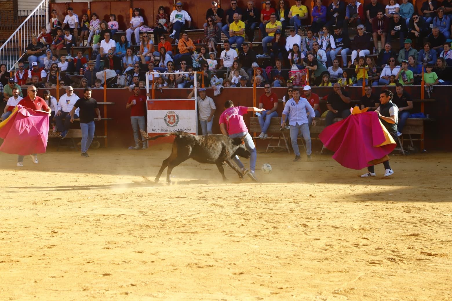 El día de las peñas de Mayorga, en imágenes