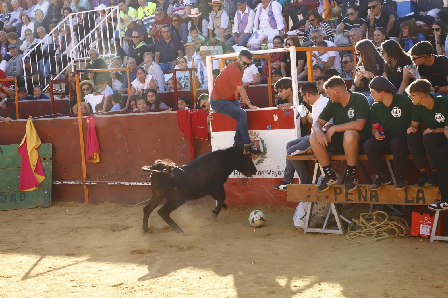 El día de las peñas de Mayorga, en imágenes