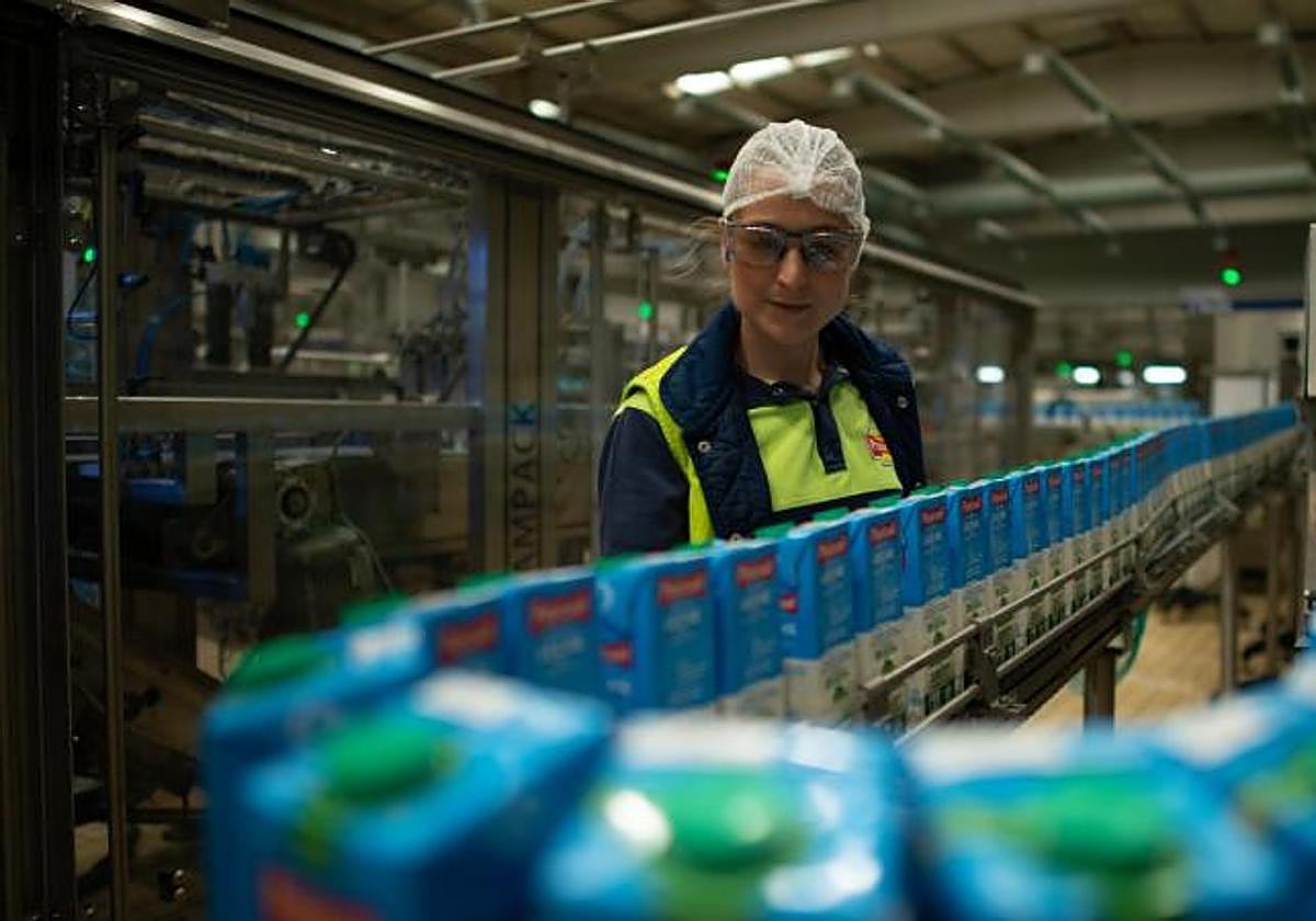 Una trabajadora en una fábrica en Aranda de Duero.