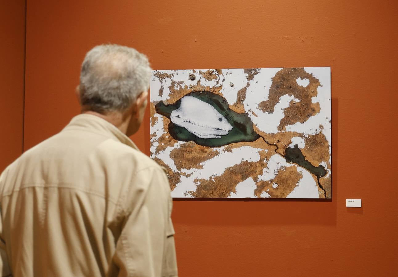 La Montaña Palentina, en 28 imágenes impactantes