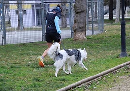 Una joven pasea con un perro atado.