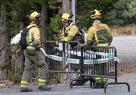Bomberos de las tareas de extinción.