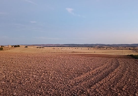 Parcela en barbecho situada en la localidad burgalesa de Campillo de Aranda.