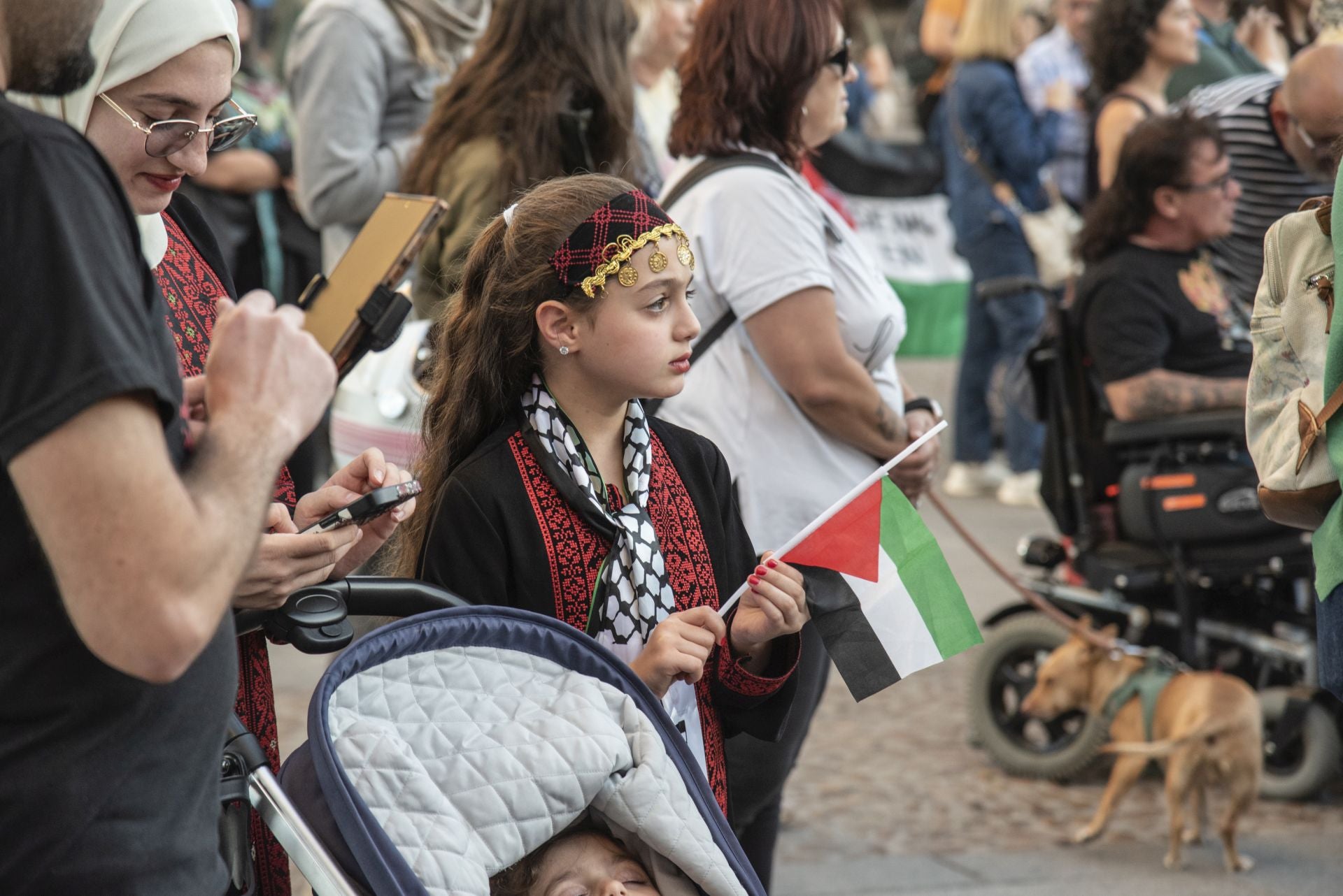 Las manifestaciones en Segovia por Gaza, en imágenes