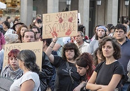 Algunos de los asistentes a la concentración por Palestina convocada en la tarde de este jueves en Segovia