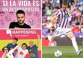 Un monólogo, un concierto familiar, una jornada de aves y fútbol para este fin de semana