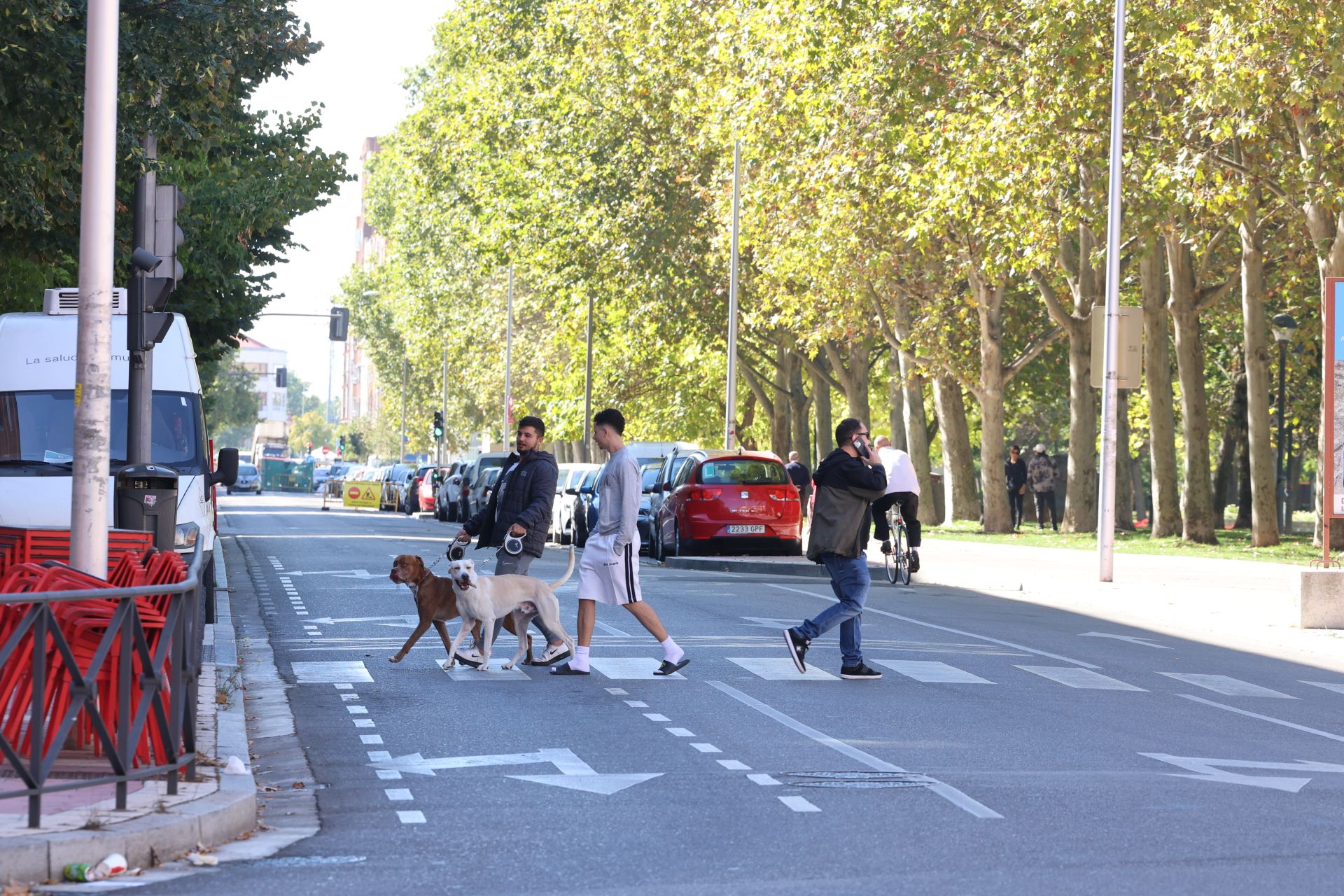 Viandantes caminan por la calle General Shelly, en Las Delicias, hace unos días.