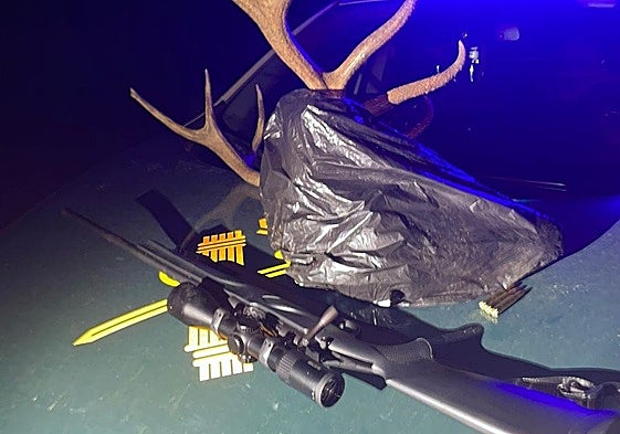 El rifle y la cabeza del animal.