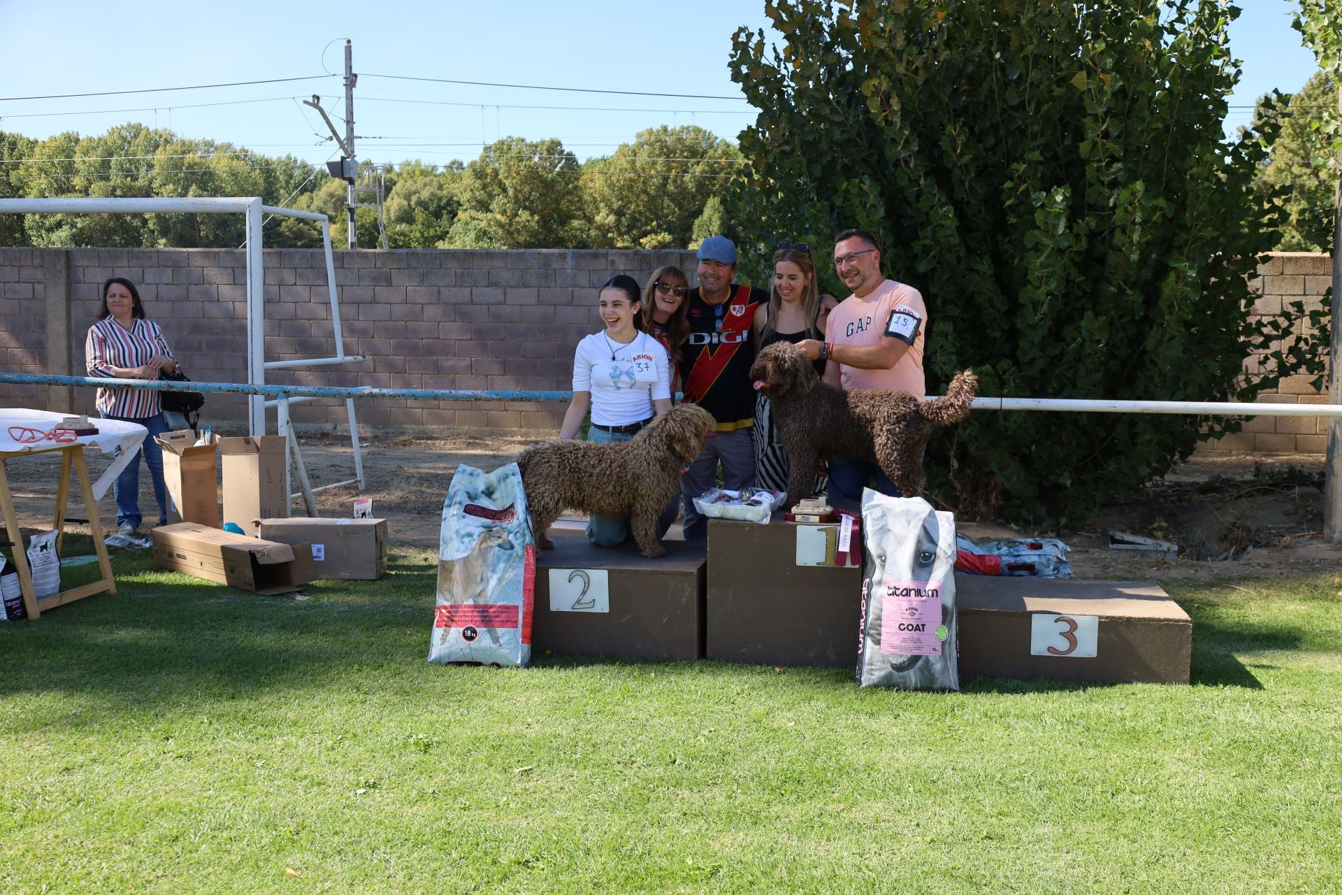 Concurso de mastines y perros de agua en Monzón de Campos