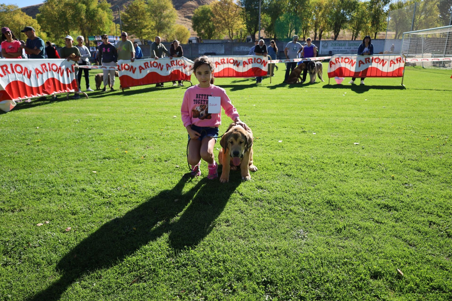 Concurso de mastines y perros de agua en Monzón de Campos