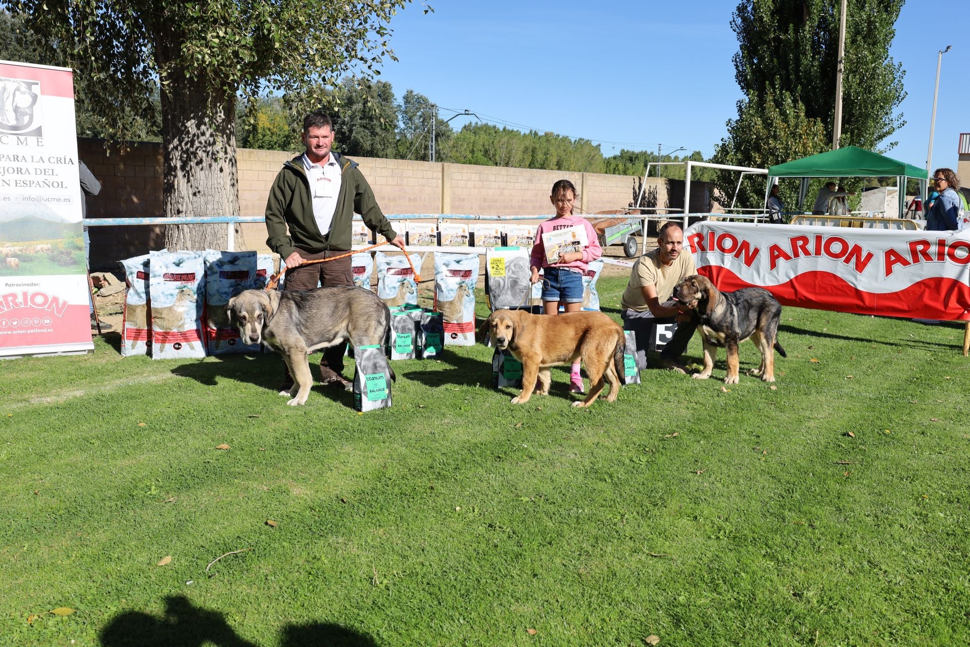 Concurso de mastines y perros de agua en Monzón de Campos