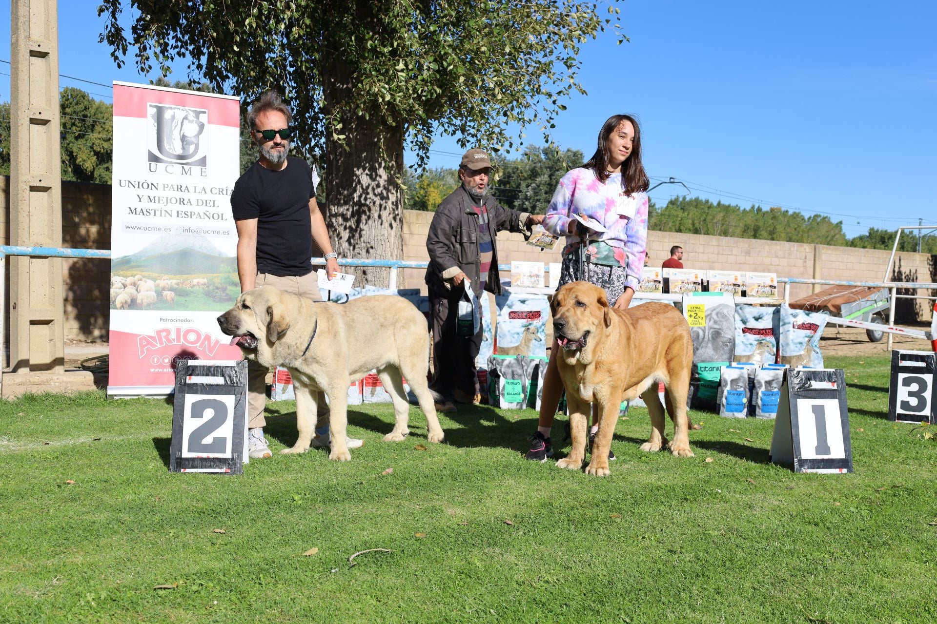 Concurso de mastines y perros de agua en Monzón de Campos