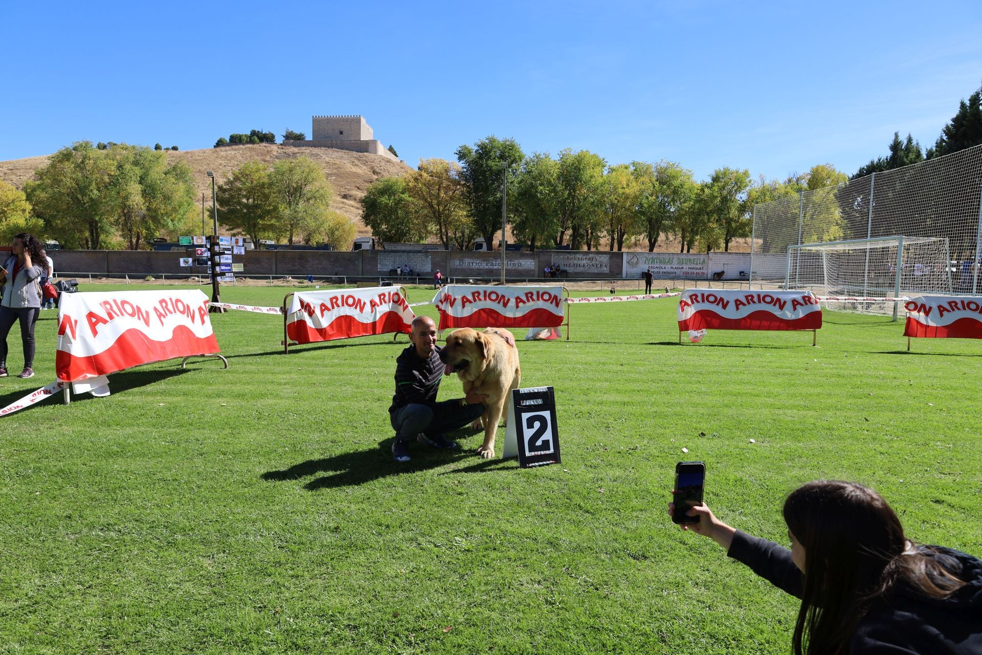 Concurso de mastines y perros de agua en Monzón de Campos