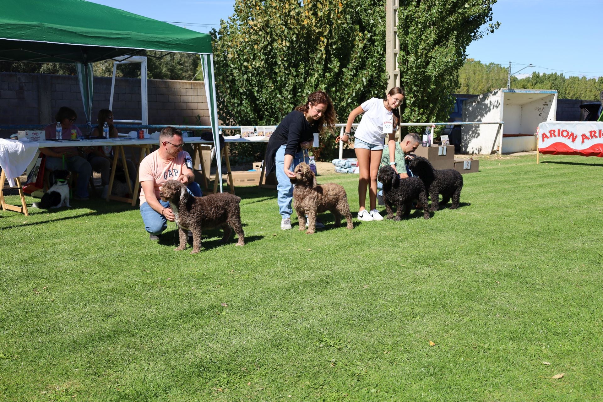 Concurso de mastines y perros de agua en Monzón de Campos