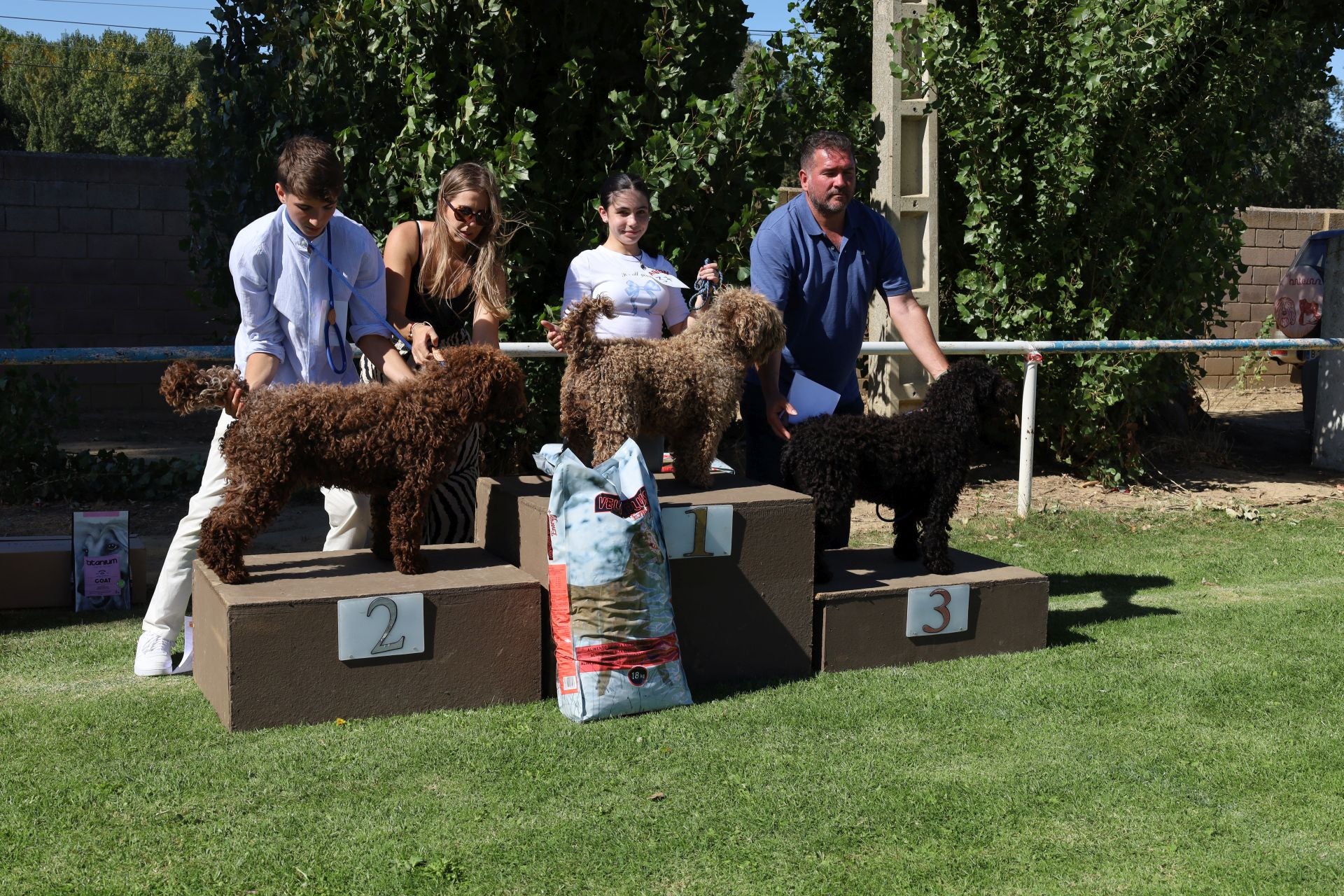 Concurso de mastines y perros de agua en Monzón de Campos