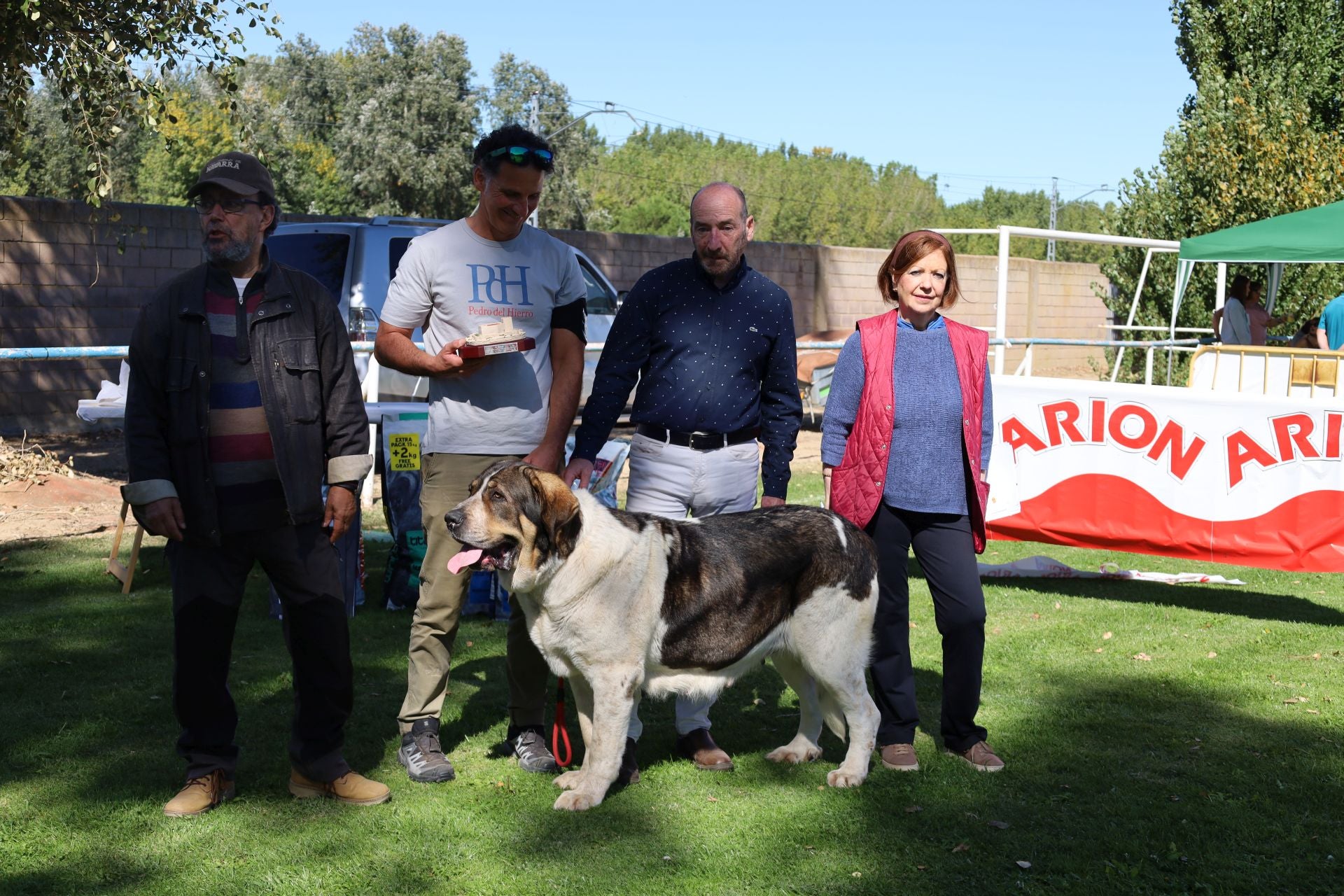 Concurso de mastines y perros de agua en Monzón de Campos