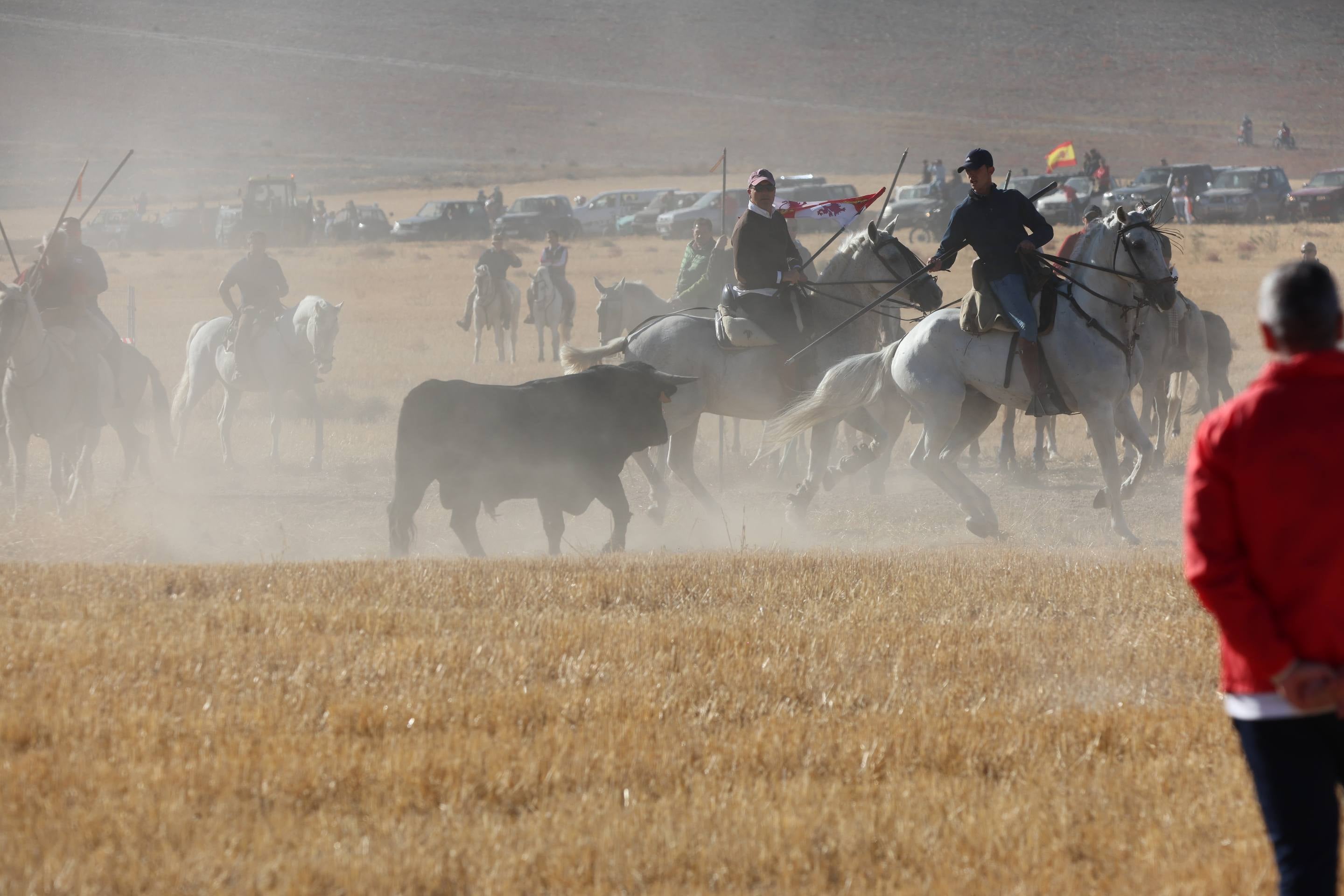 El encierro mixto en Mojados, en imágenes