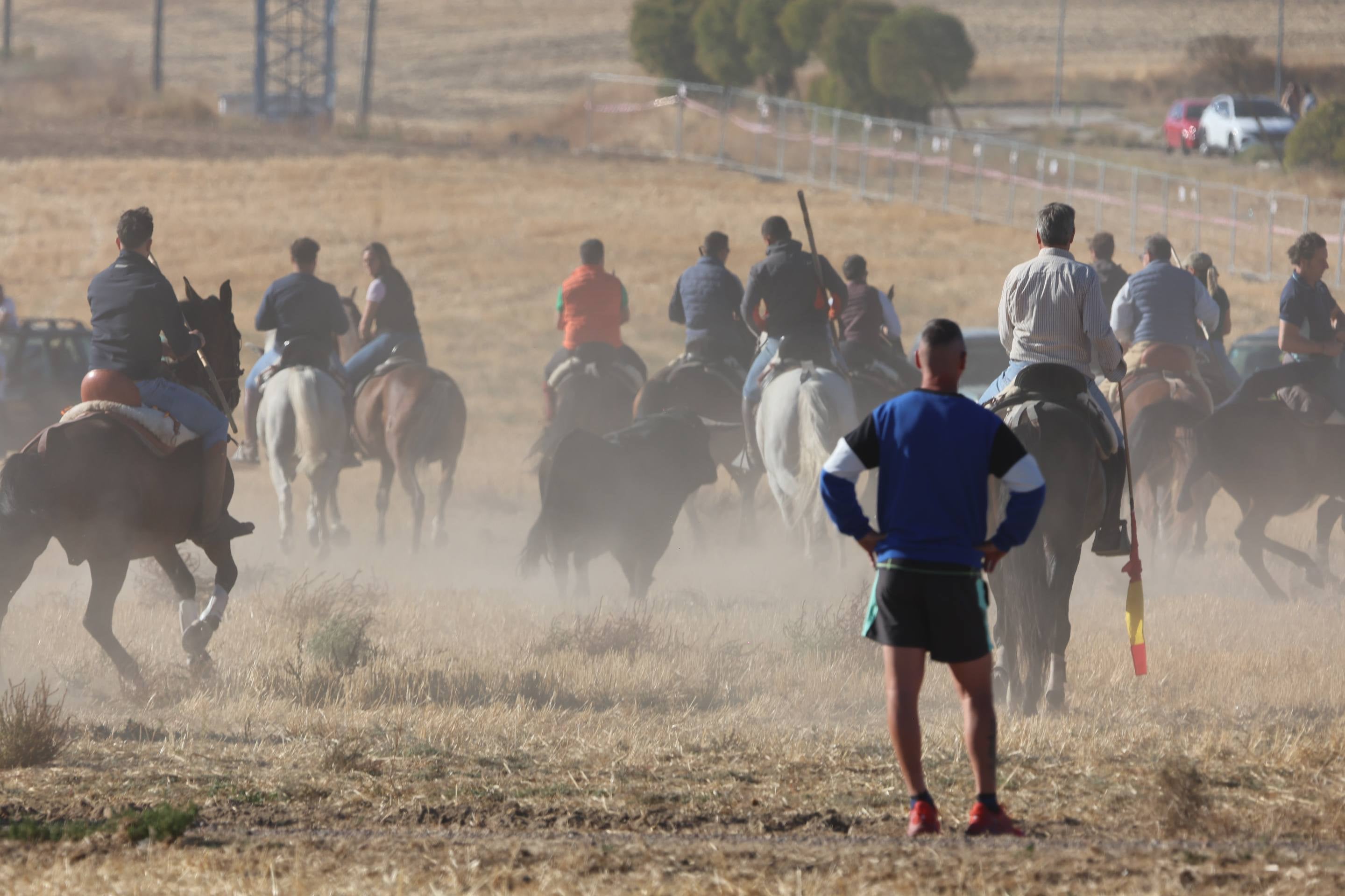 El encierro mixto en Mojados, en imágenes