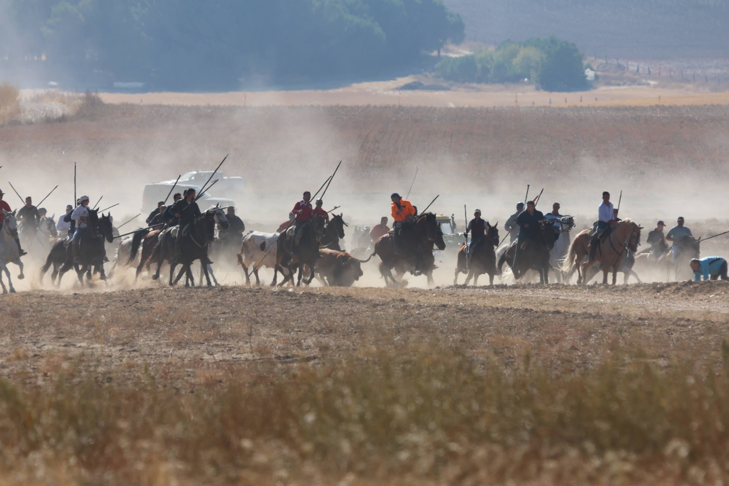 El encierro mixto en Mojados, en imágenes