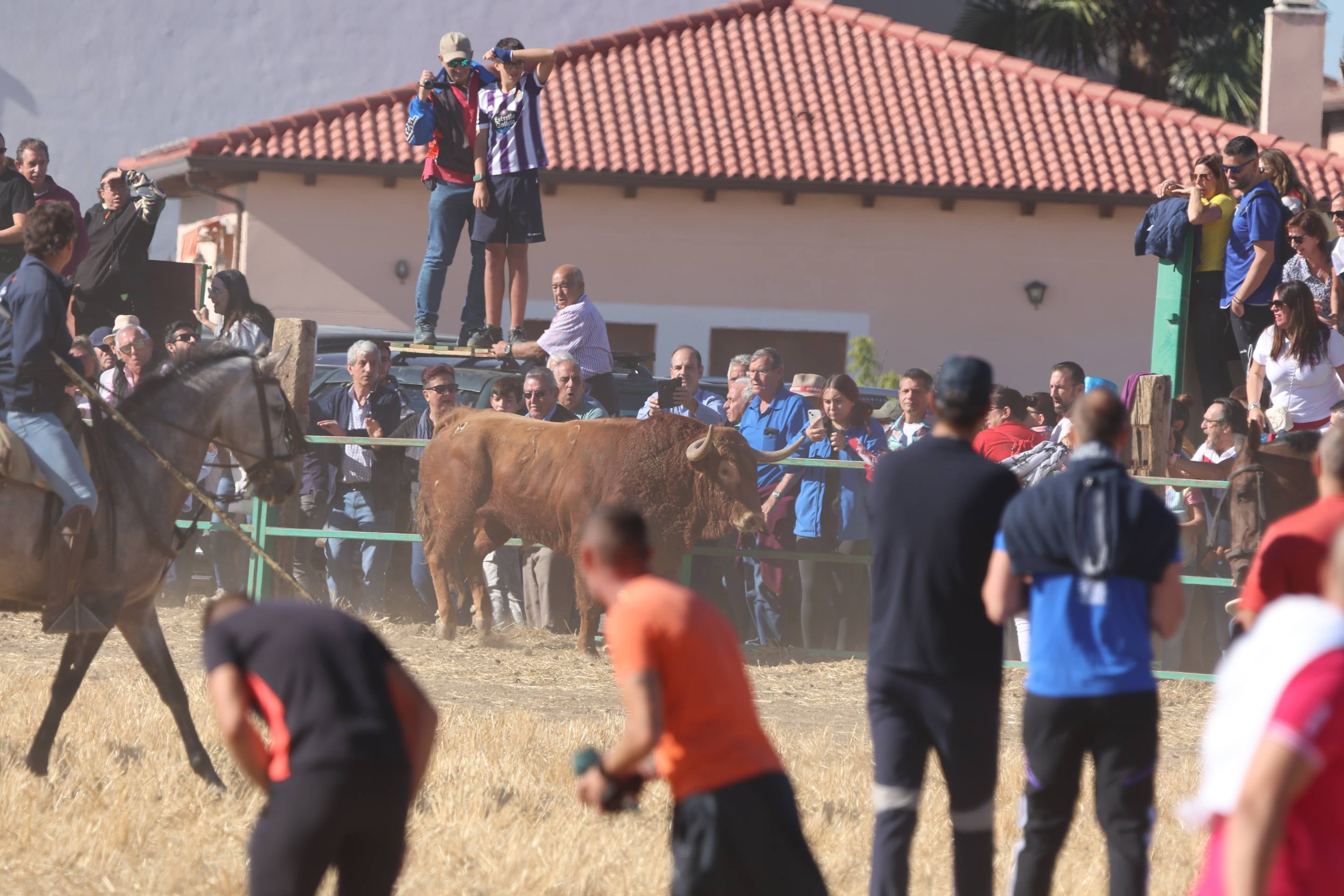 El encierro mixto en Mojados, en imágenes