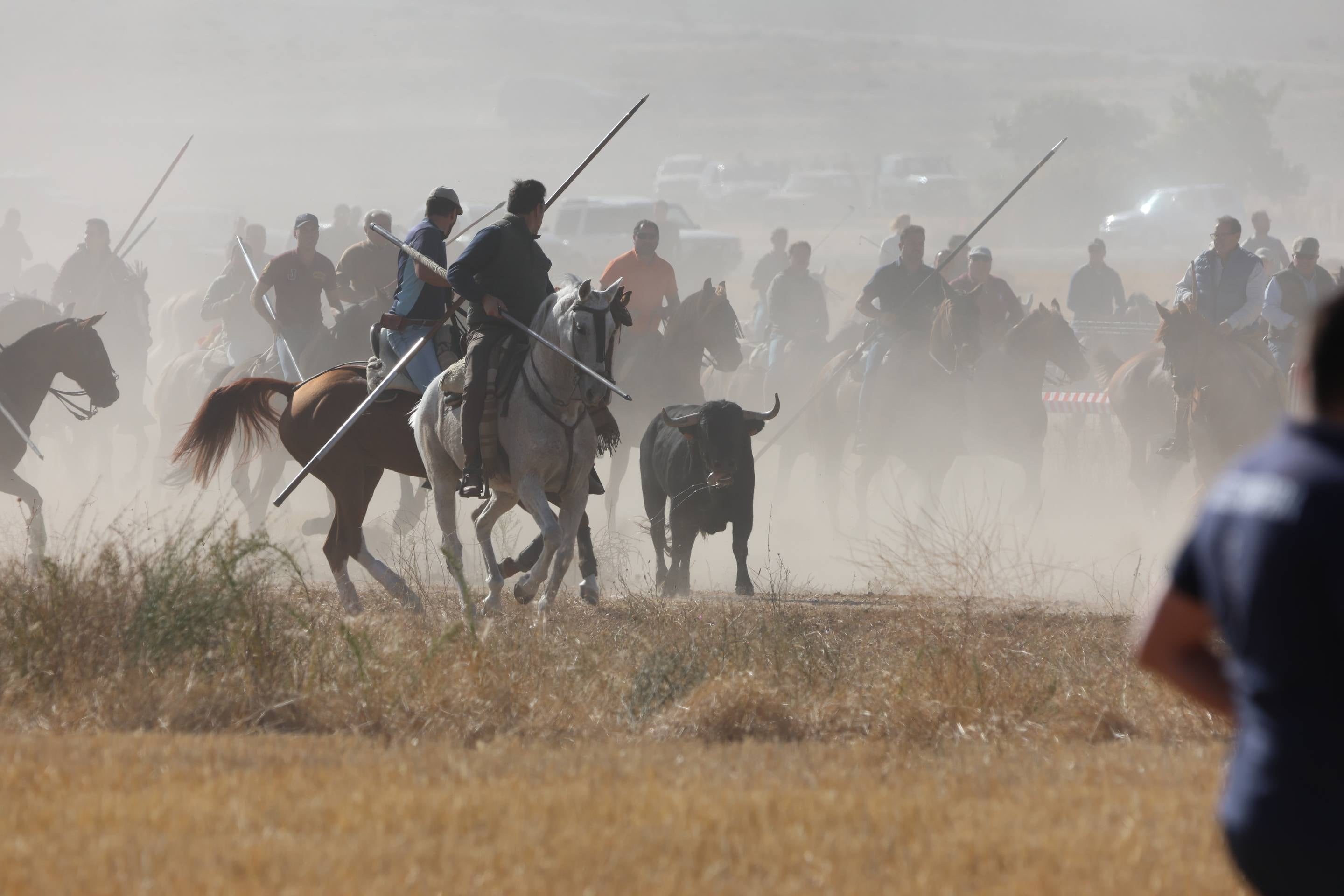 El encierro mixto en Mojados, en imágenes