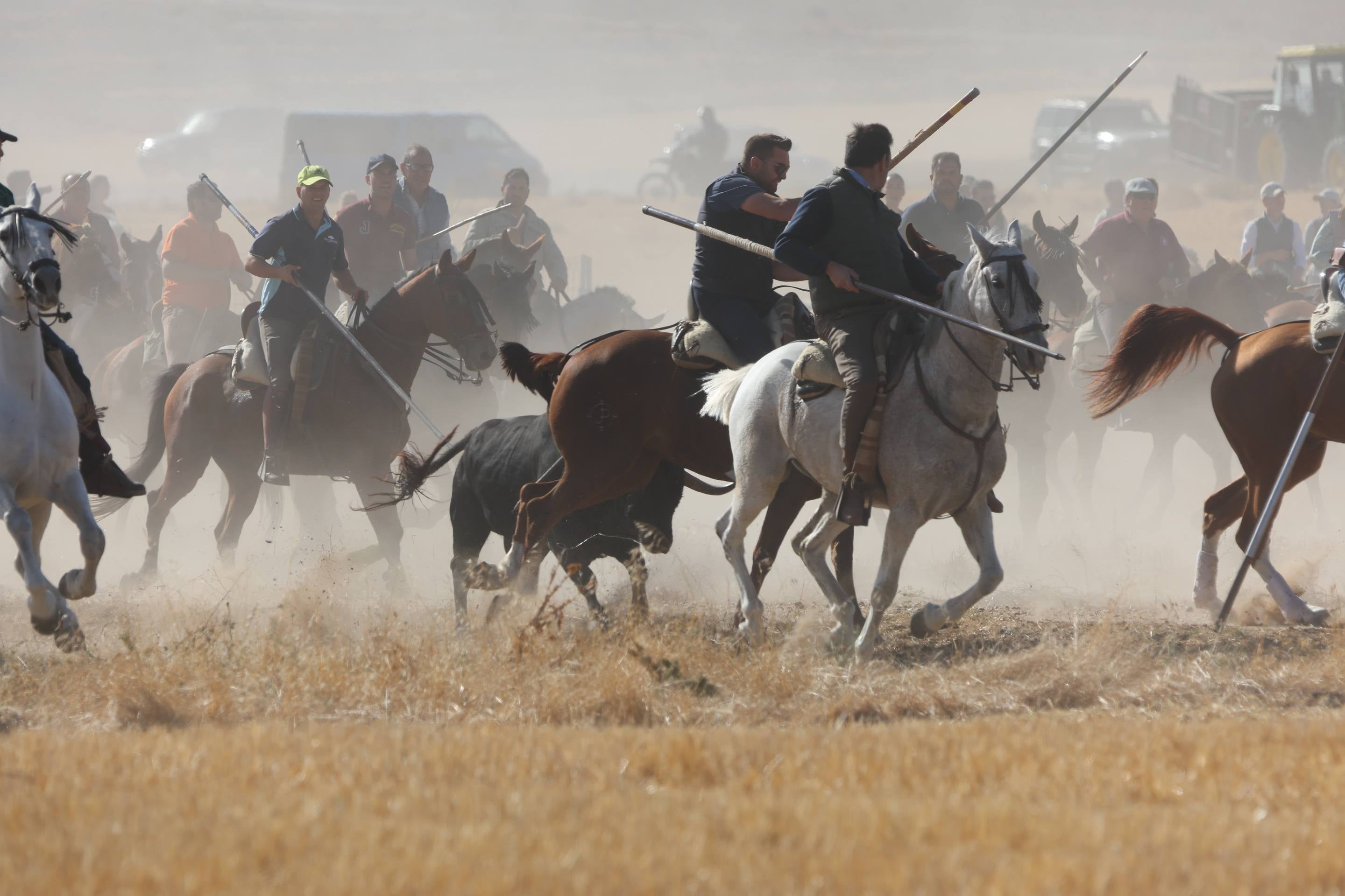 El encierro mixto en Mojados, en imágenes