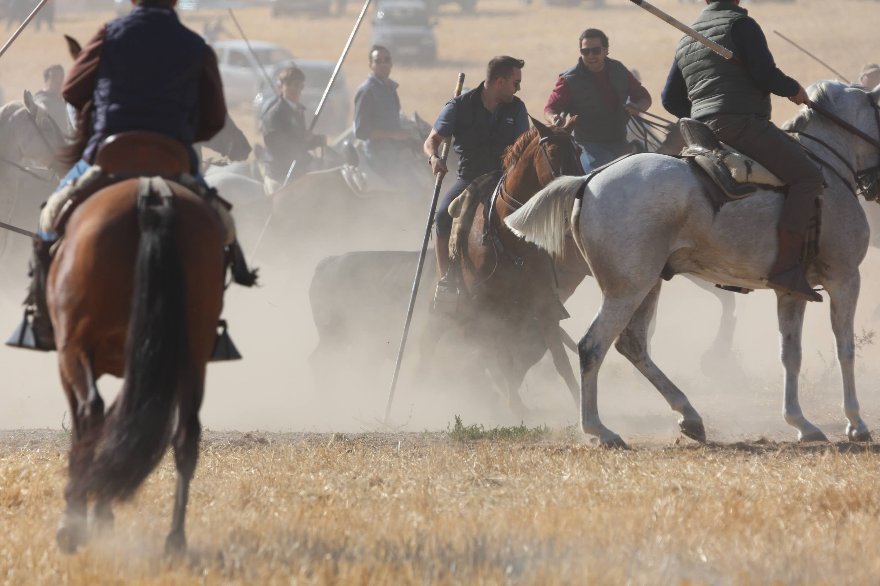 El encierro mixto en Mojados, en imágenes