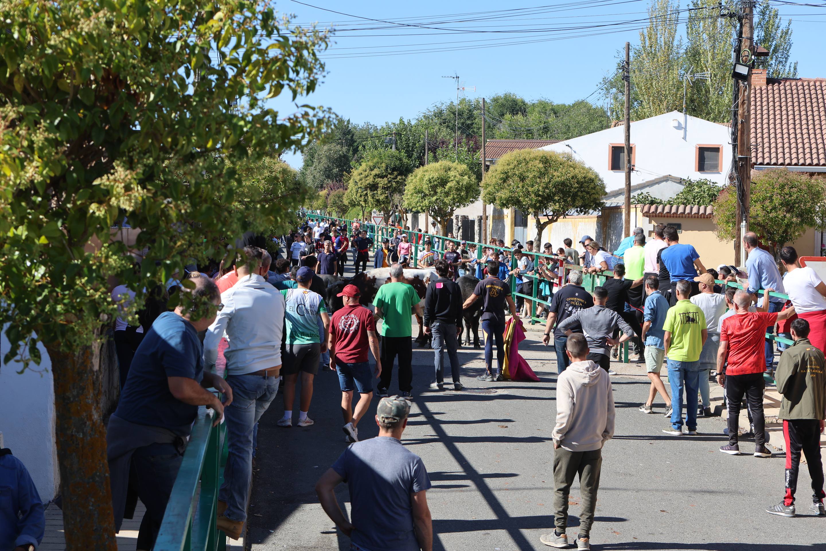 El encierro mixto en Mojados, en imágenes