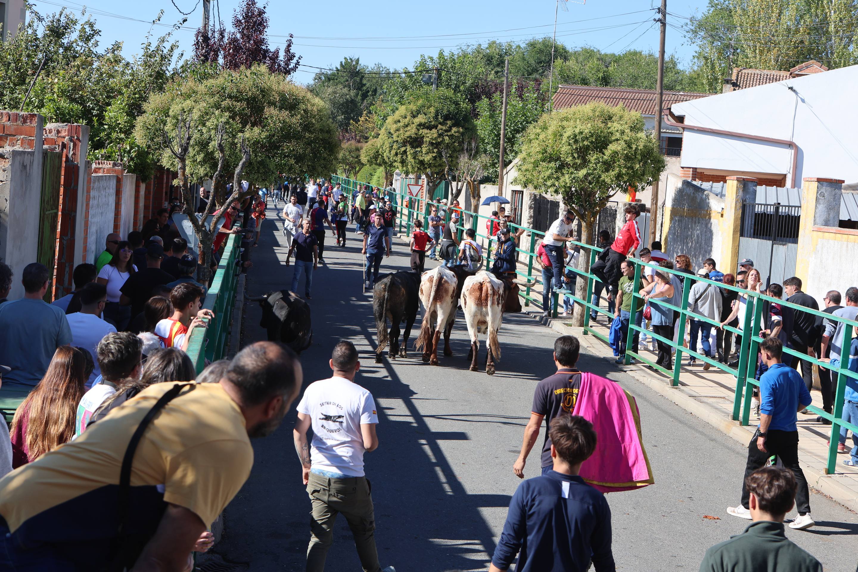 El encierro mixto en Mojados, en imágenes