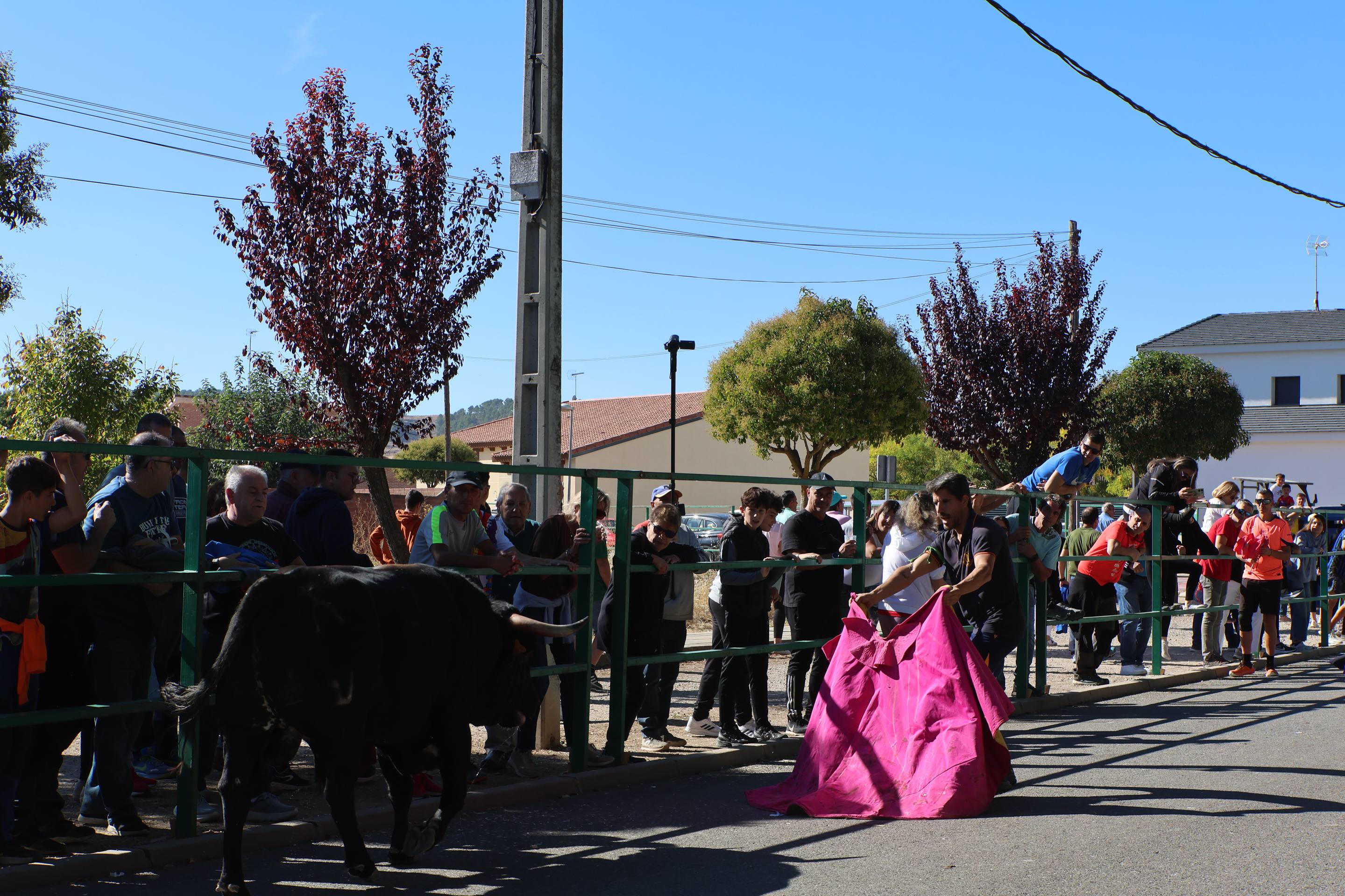 El encierro mixto en Mojados, en imágenes
