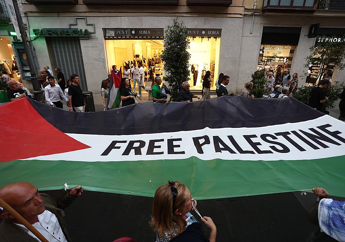 Las imágenes del manifestación propalestina en Valladolid