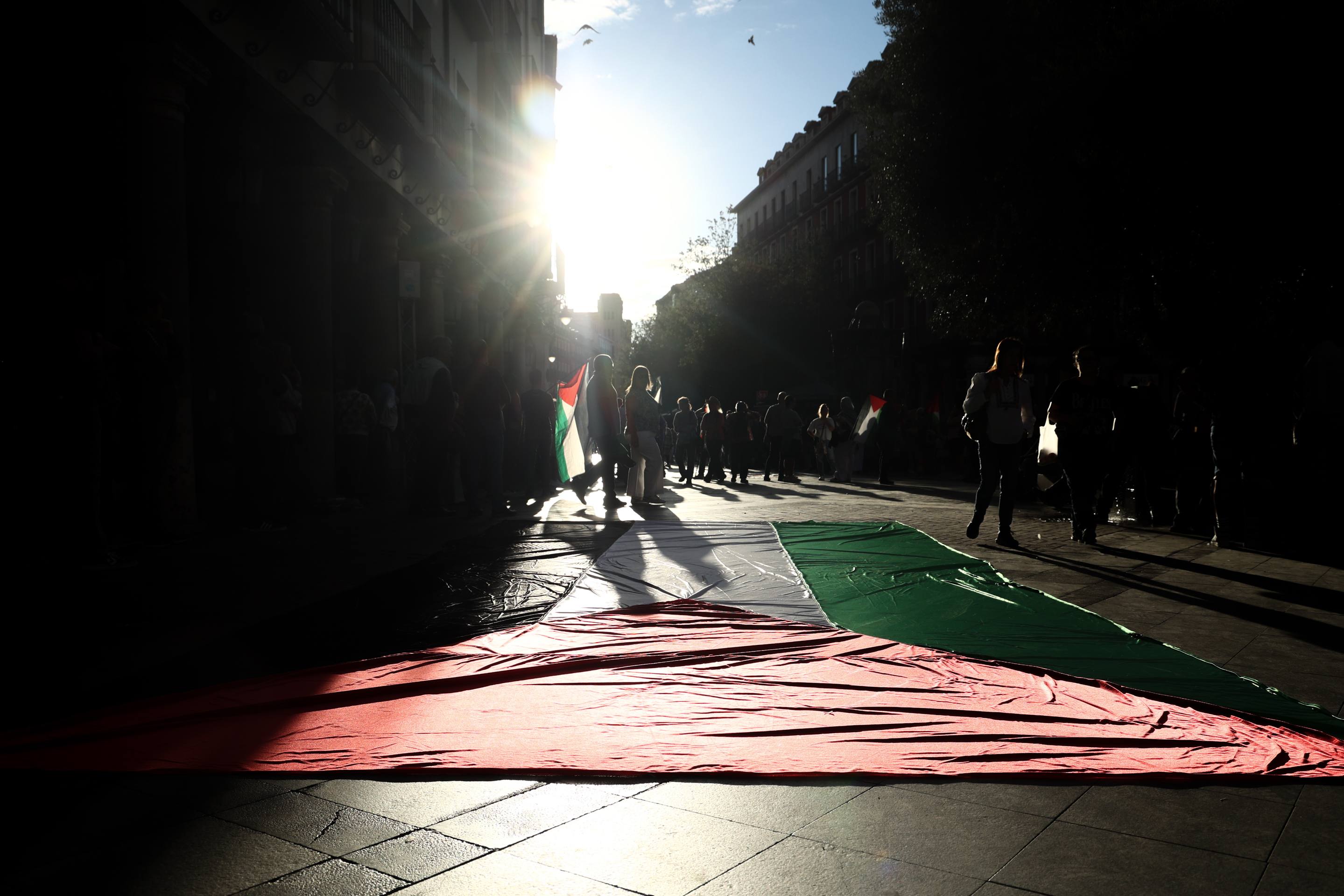 Las imágenes del manifestación propalestina en Valladolid