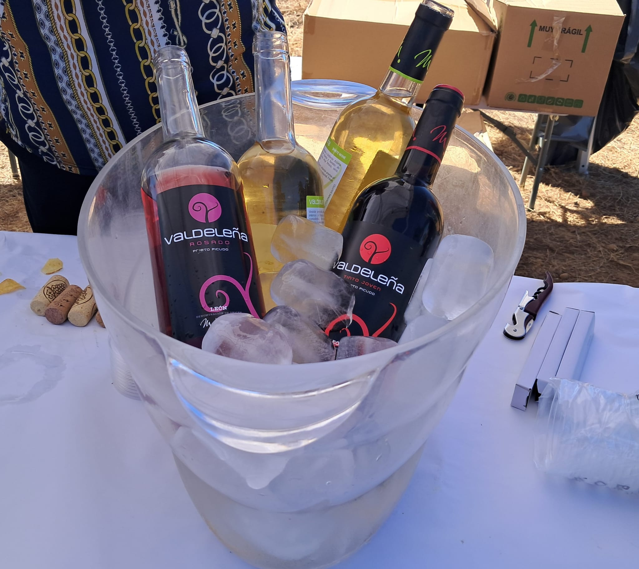 Melgar de Abajo celebra la XVI Fiesta de la Vendimia