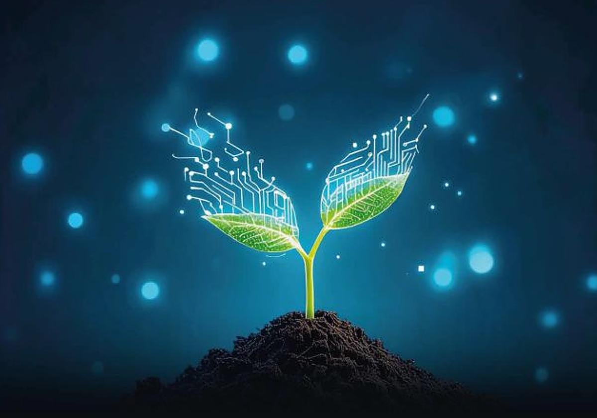 Imagen utilizada en la promoción del evento.