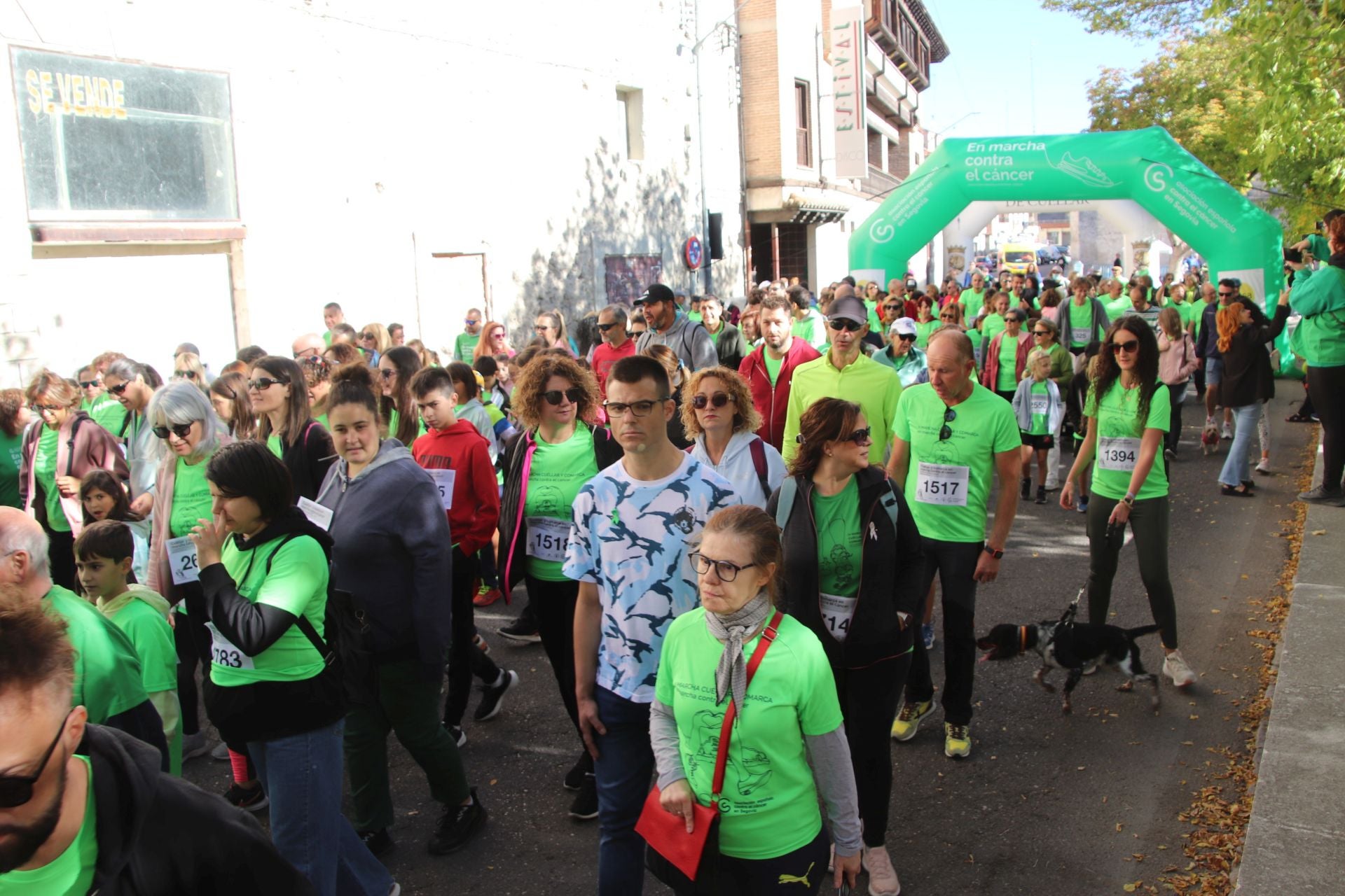 Fotografías de la marcha contra el cáncer en Cuéllar