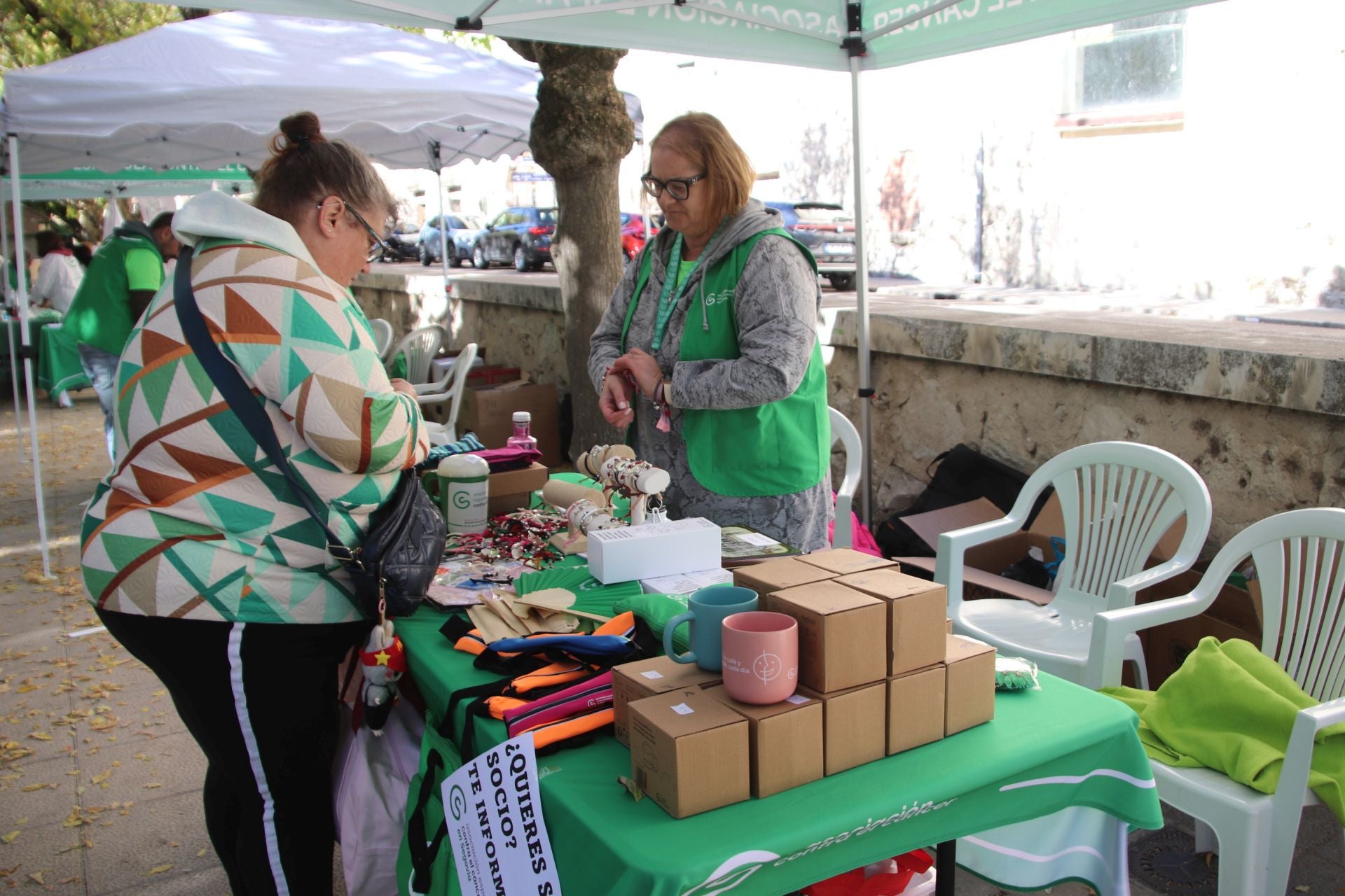 Fotografías de la marcha contra el cáncer en Cuéllar