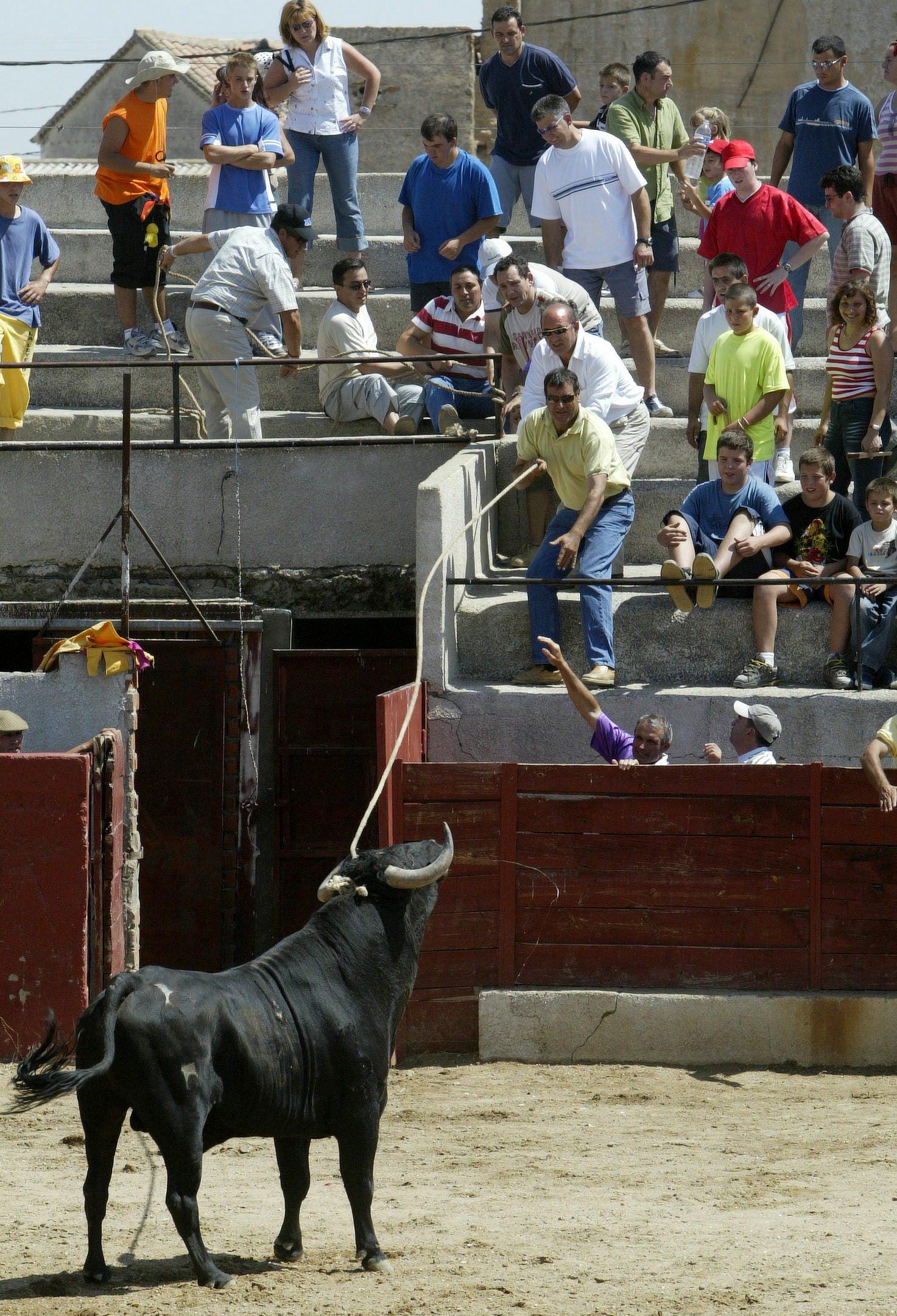 Encierro en las fiestas de Pollos. 15 de agosto de 2005.